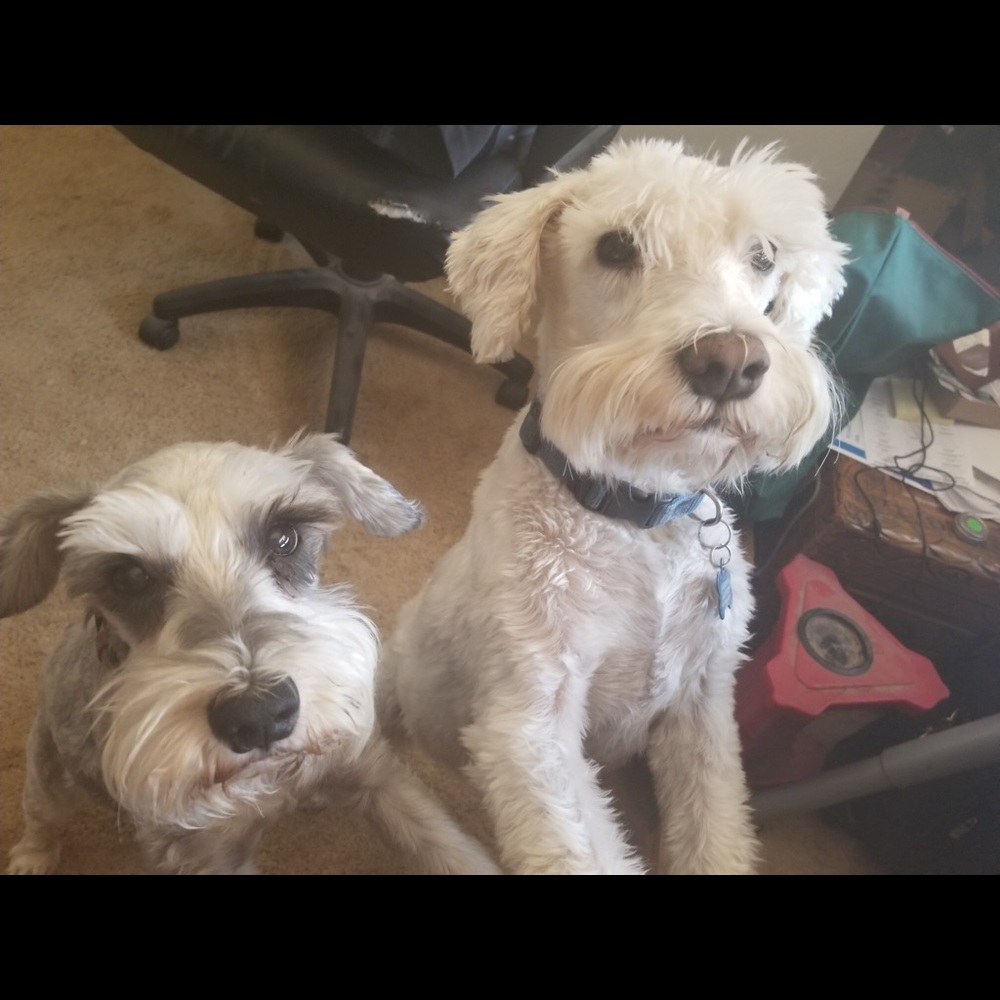 Thank you for stopping by our closet 🌸🌺